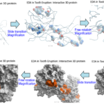 Interactive 3D Protein in Powerpoint_Fig3